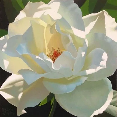 Rose In The Shadows Giclee by Brian Davis