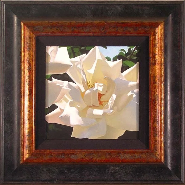Radiant Rose Framed by Brian Davis