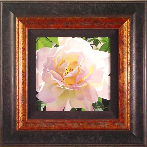 Single Pristine Rose Framed by Brian Davis