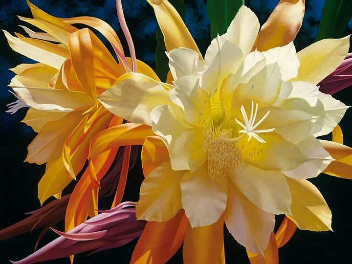 Splendid Elegance by Brian Davis