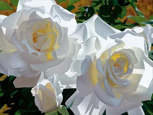 White Roses Aglow by Brian Davis