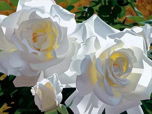 White Roses Aglow by Brian Davis