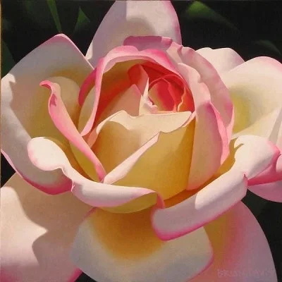 Single Cherry Parfait Rose Giclee by Brian Davis