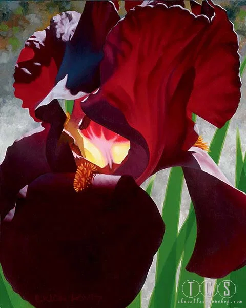 Deep Red Iris Aflame by Brian Davis