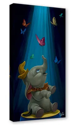 Jared Franco - Dream to Fly From Dumbo