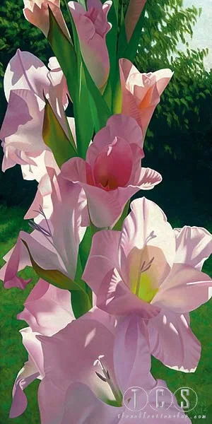 Katie's Gladiola by Brian Davis