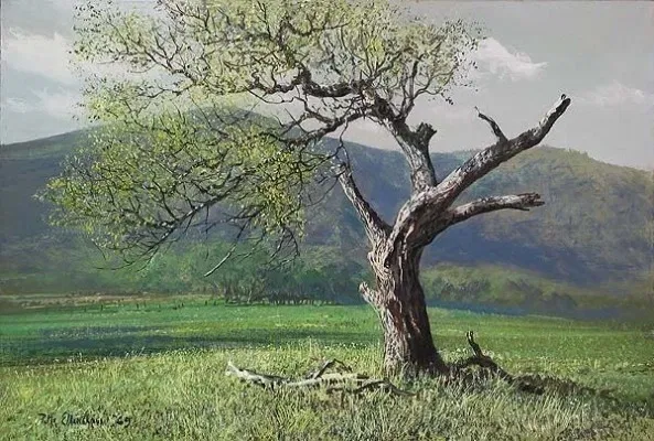 Lone Oak by Peter Ellenshaw — Giclee On Canvas