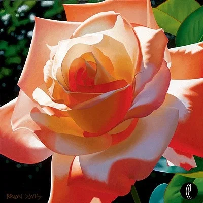Orange Radiance by Brian Davis