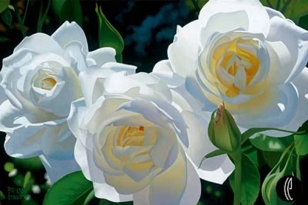 Sunny Afternoon Roses by Brian Davis