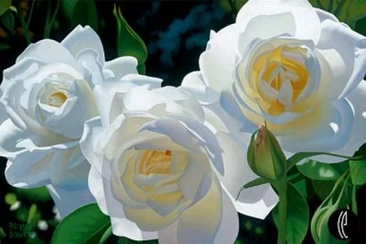 Sunny Afternoon Roses by Brian Davis