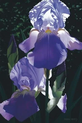 Two Blue Irises by Brian Davis