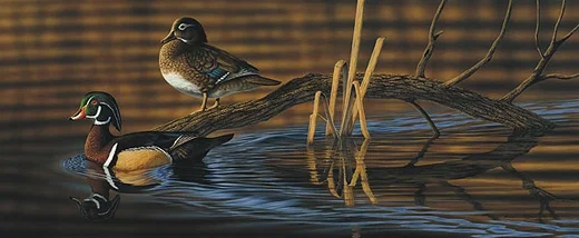 October Morning Limited Edition Print by Richard Clifton