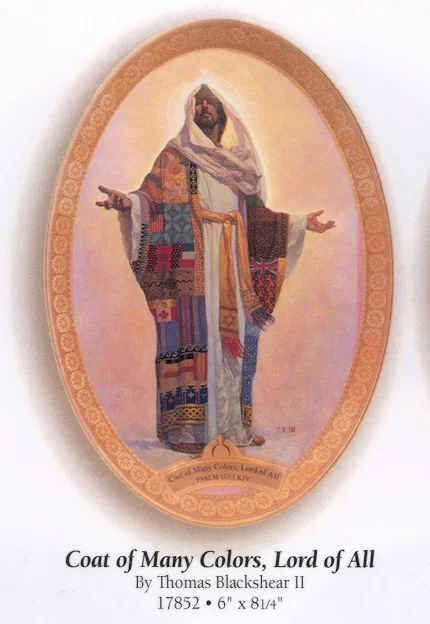 Coat Of Many Colors Plate by Thomas Blackshear II