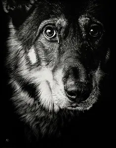 Christina Penescu - Cautious Observation