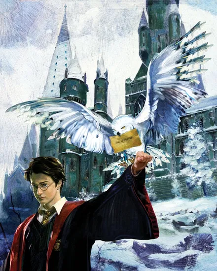 Jim Salvati - Harry and Hedwig From Harry Potter
