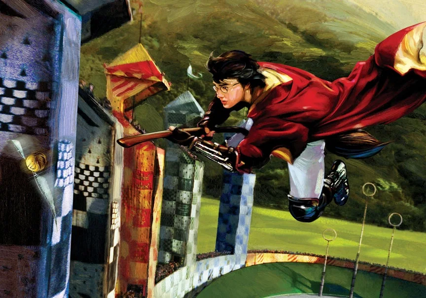 Harry and the Golden Snitch From Harry Potter by Jim Salvati — Giclee On Canvas