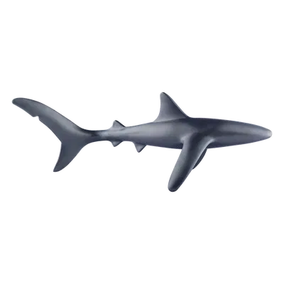 Dargenta - Black Shark Statue