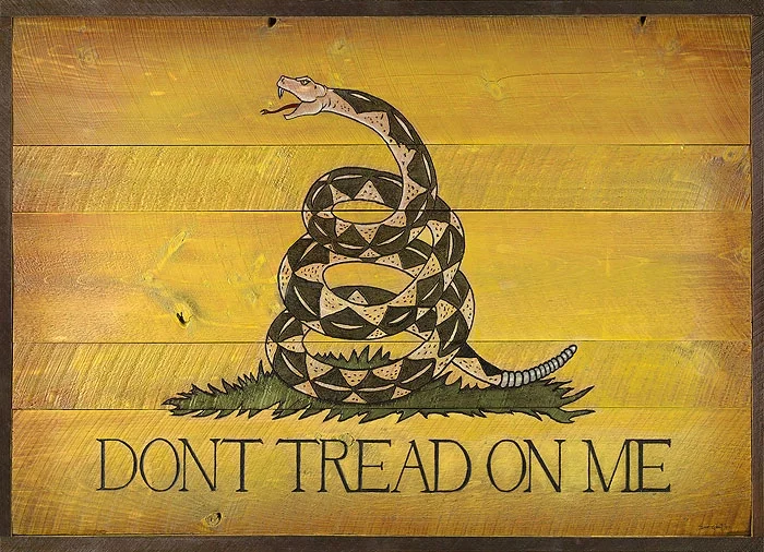 Dont Tread On Me Barn Door OPEN EDITION by David Grant — Canvas