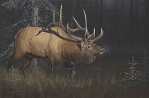 Daniel Smith - Sun Struck