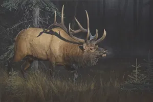 Daniel Smith - Sun Struck