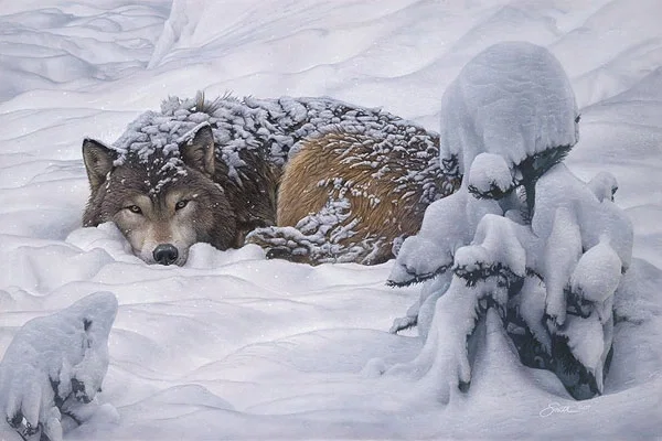 Winters Embrace by Daniel Smith — Canvas