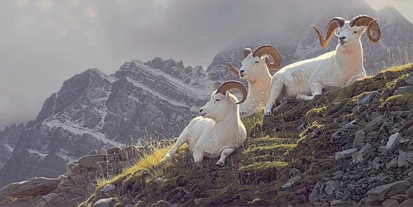 Summit Sanctuary by Daniel Smith — Giclee On Canvas Artist Proof