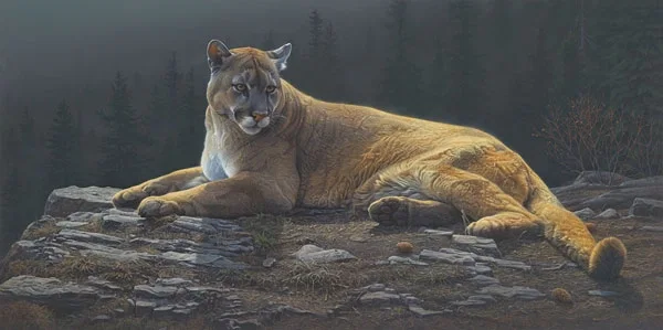 Radiant Repose by Daniel Smith — Canvas