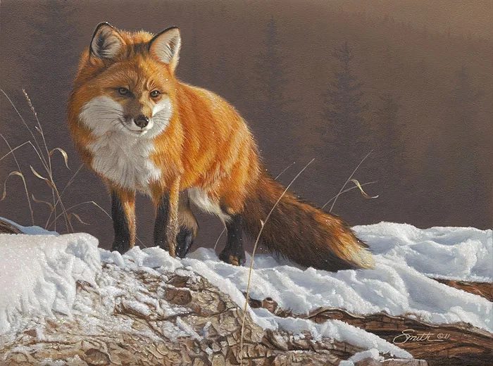 Radiant Red SMALLWORK EDITION ON by Daniel Smith — Canvas