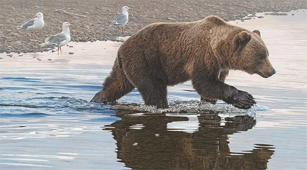 Kodiak Collaboration by Daniel Smith — Canvas