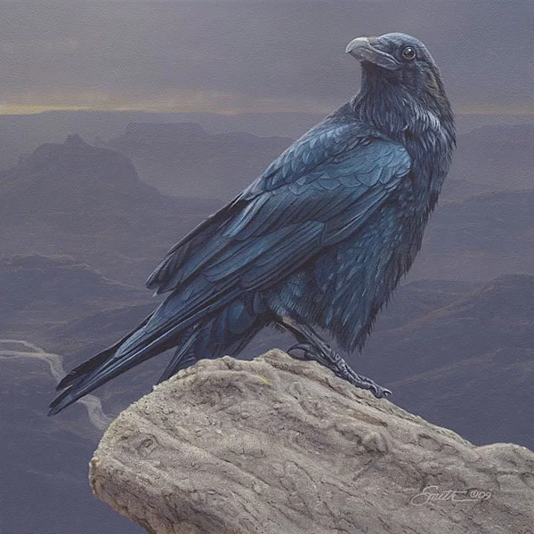 Canyon Vista SMALLWORK EDITION ON by Daniel Smith — Canvas