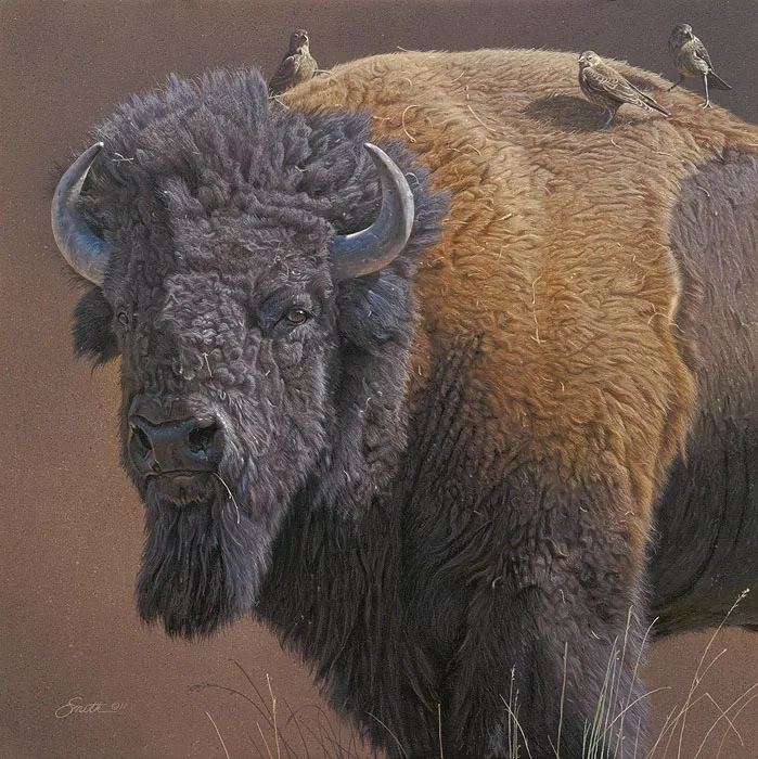 Cowbird Companions by Daniel Smith — Canvas