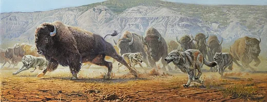 The Natural Order of Things MASTERWORK by David Yorke