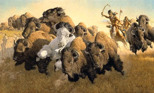In Pursuit of the White Buffalo ANNIVERSARY EDITION by Frank McCarthy
