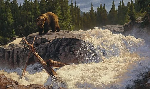 The Cascades by Greg Beecham