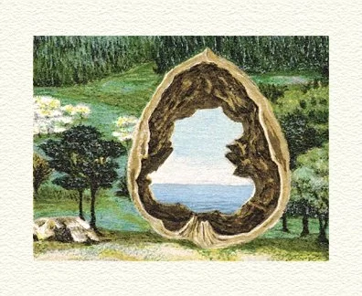 Walnut by Fanny Brennan