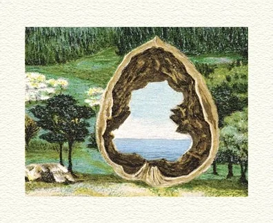 Walnut by Fanny Brennan