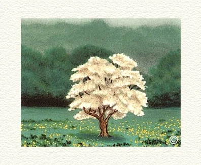 Fanny Brennan artwork