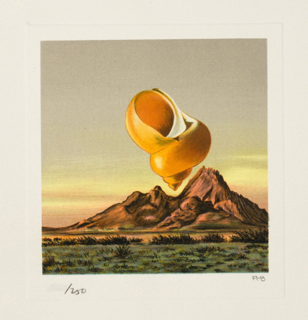 Orange Shell, 1992-1995 by Fanny Brennan — hand-signed lithograph