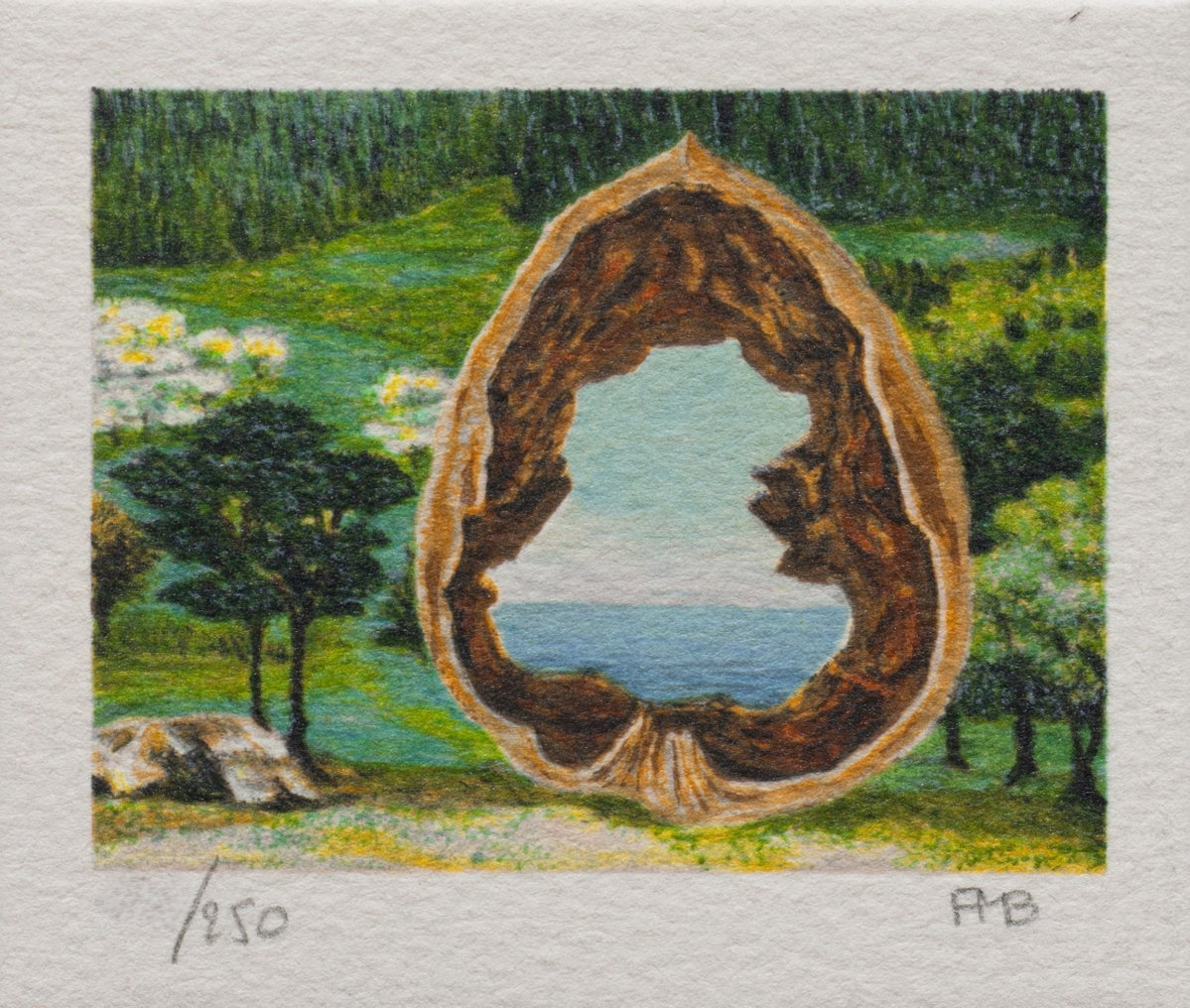 Walnut, 2000 by Fanny Brennan — hand-signed lithograph