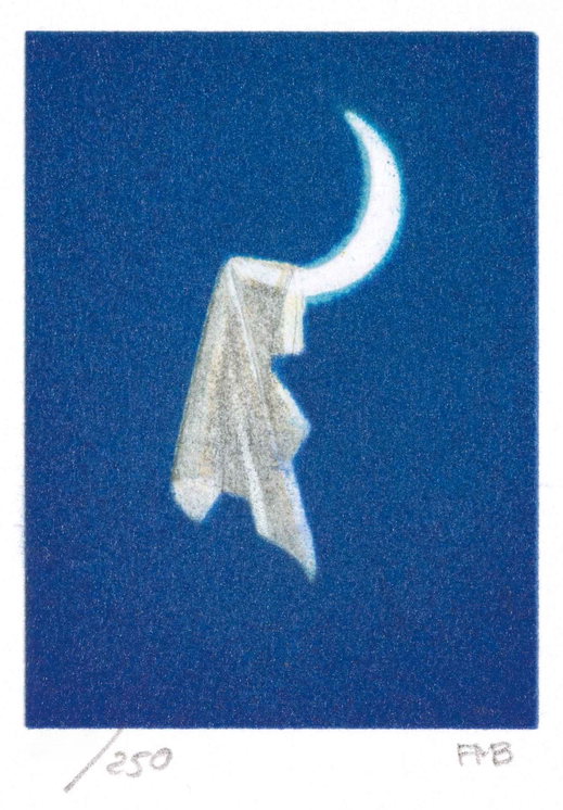 Moon Catch, 2000 by Fanny Brennan