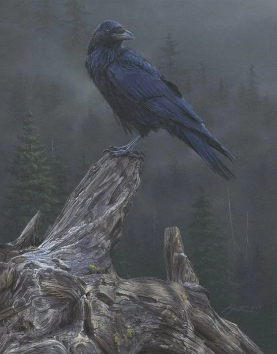 Raven´s Roost by Daniel Smith — Giclee On Canvas