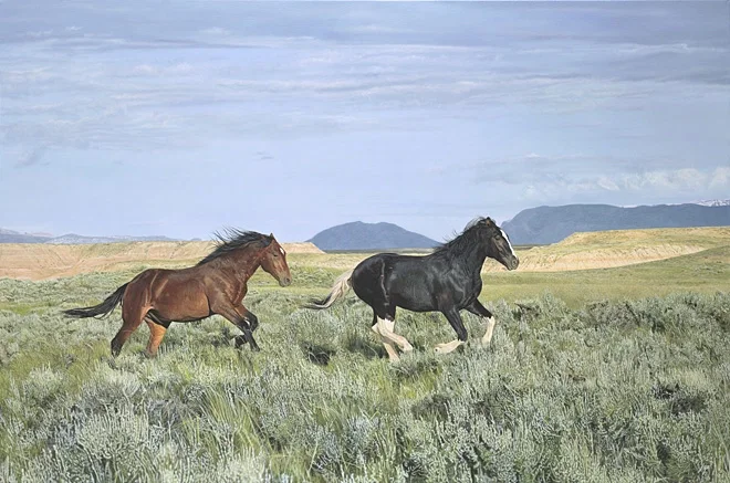 Wild and Free by John Bye — Giclee On Canvas