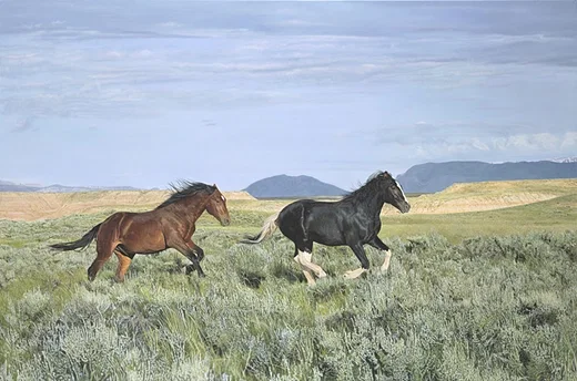 Wild and Free by John Bye