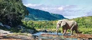 Guy Combes - Monarch of Mwaluganje