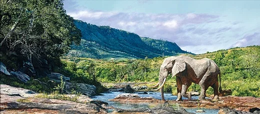 Monarch of Mwaluganje by Guy Combes