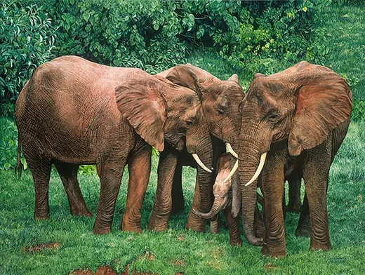 The Creche by Guy Combes