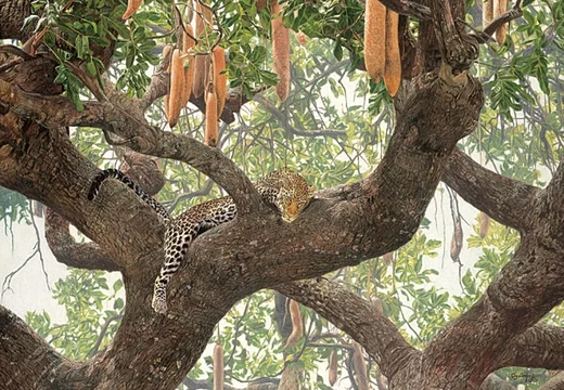 Leopard Lounge by Guy Combes