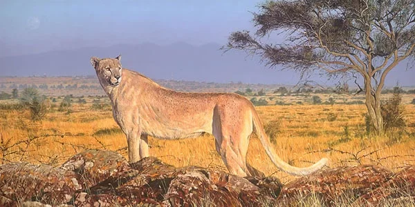 Phantom by Guy Combes — Canvas