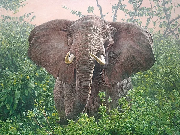 Guy Combes artwork