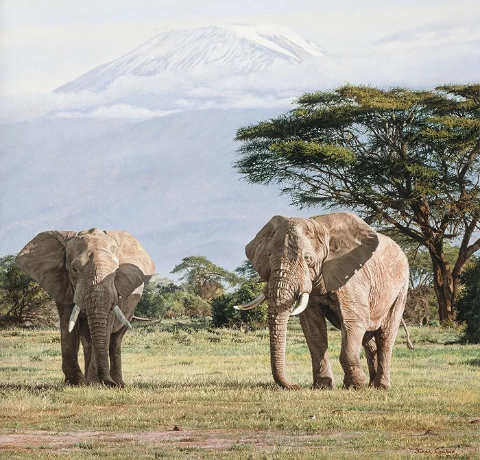 African Ancients by Simon Combes — Giclee On Canvas